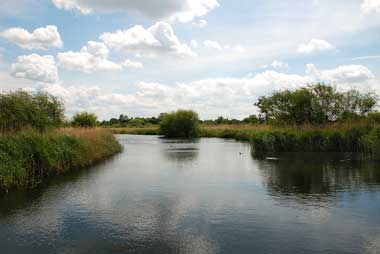 Barnes Wetland Centre